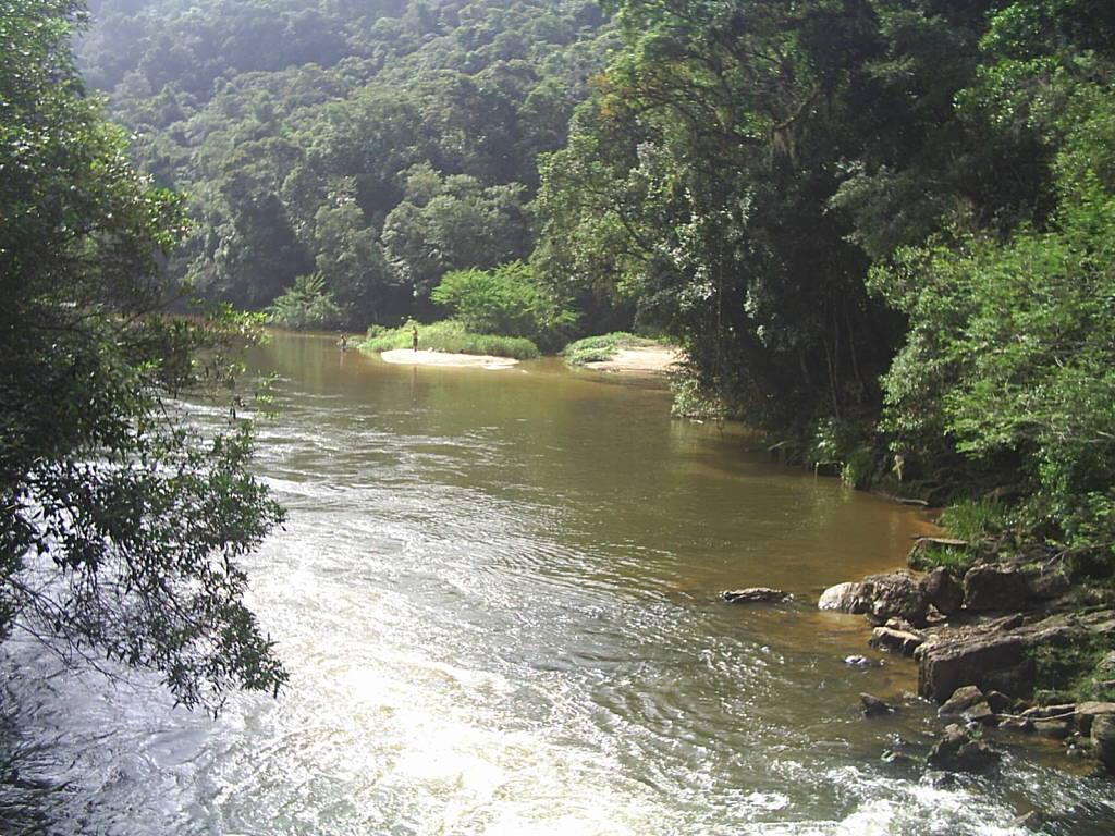 Você sabia? Aqui tem Mata Atlântica?