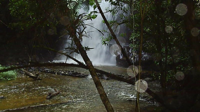 Agua Preciosa por  Engenheira Agrônoma Jumara Bocatto