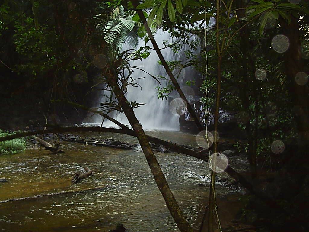 Agua Preciosa por  Engenheira Agrônoma Jumara Bocatto