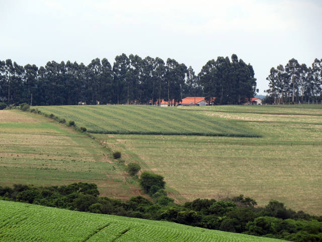 Agro quer nova medida sobre prazo do CAR para ‘blindar’ produtor rural, saiba mais…